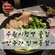 [수원 맛집] 수원시청역 술집 안주가 인계동점