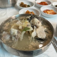 경주 맛집 감포일출복어 해장으로 최고