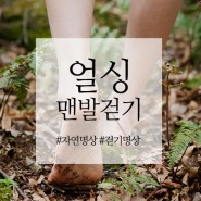 [명상여행] 맨발걷기 / 얼싱 / 걷기명상 / 자연명상