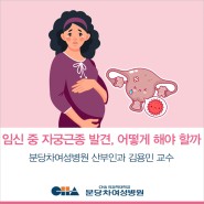 임신 중 자궁근종 발견.. 어떻게 해야 할까요?_분당차여성병원 산부인과 김용민 교수