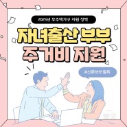 서울시 자녀 출산 무주택 부부 주거비 지원 내년 도입 (월 30만원/총 720만원)