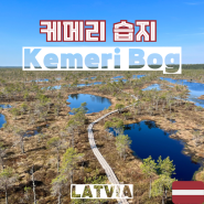 라트비아 여행 (케메리습지) #3-1 케메리 국립공원, 케메리 습지 하이킹