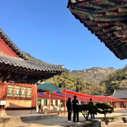부처님오신날 진관사 서울 은평구 가볼만한곳 석가탄신일