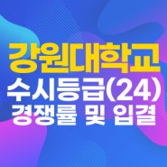 강원대학교 수시등급 2024 경쟁률 입결 강원대 최종 예비
