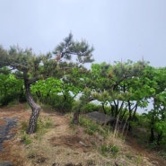 사천 와룡산 2시간 코스 (백천사-민재봉) 등산로입구