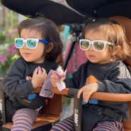 세종시안경 제이안경에서 두돌아기 선글라스 구매후기