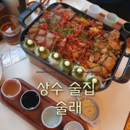 [상수] 합정 홍대 가성비 안주 술집 야장 추천 '술래'