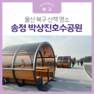 울산 북구 산책 명소, 송정 박상진호수공원에서 산책해요