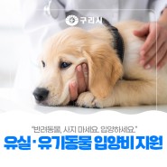 〔🐱 2024년도 유실·유기동물 입양비 지원사업〕