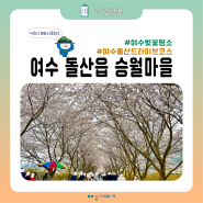 여수 승월마을 돌산 드라이브 코스 여수 벚꽃 명소