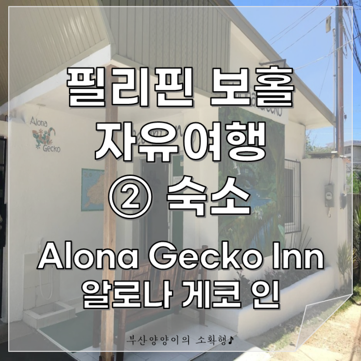 [필리핀 보홀 자유여행-②숙소] 알로나 게코 인 / Alona Gecko Inn / 보홀 숙소 추천 / 보홀 가성비 숙소 ...