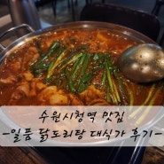 수원시청역 맛집 일품 닭도리탕 대식가 후기 feat. 반려동물동반, 인계동한식주점