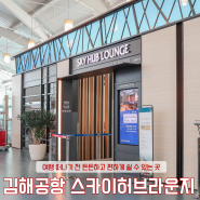 김해공항 스카이허브 라운지 할인 카드 시간