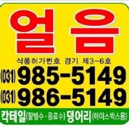 1. 김포 일산 파주 킨텍스 인천 계양구 얼음 로켓 배달