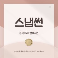 W13.의정부웨딩팰리스 가성비본식추천 DVD 스냅썬 예약후기 짝꿍할인페이백