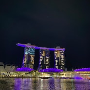 3박3일 싱가폴 모녀여행 (7) 클락키에서 리버크루즈 타고 마리나베이샌즈 스펙트라 라이트 쇼 보기 성공 (예약, 티켓수령, 줄서기 눈치게임, 좌석 꿀팁)
