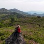 [보성] 초암산 철쭉제 등산코스 데이트 산행 갈만한곳
