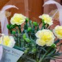 예스재이 :: 대구 어버이날 꽃 추천 특별한 노란 카네이션