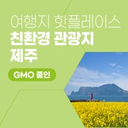 [GMO 줌인] EP.2 여행지 핫플레이스 친환경 관광지 제주