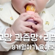 예꼬맘 트위스트 과즙망 + 리필망2개 8개월아기 육아국민템 과즙기