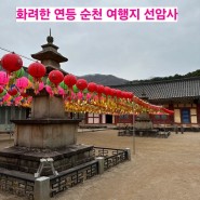 순천 선암사 고즈넉한 돌다리 산책 화려한 연등 구경 석가탄신일 여행코스