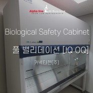 [밸리데이션] ESCO 에스코 생물안전작업대 Biological Safety Cabinet GMP 인증 IQ OQ PQ 적격성평가 풀 밸리데이션 Validation- 커넥타젠(주)