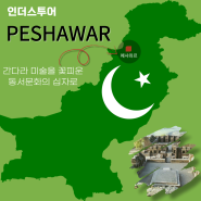 (프리뷰) 파키스칸 간다라 유적탐방 - '페샤와르'