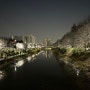 인천 서부간선수로 벚꽃명소네요