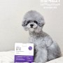 프로젝트21 강아지 눈 영양제 클리어뷰옵티케어