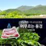 [ 경남 양산 ] 원동 머풍 미나리삼겹살 머무르는풍경 찐 마운틴뷰 맛집