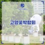 고양꽃박람회 경기도 일산 놀거리 서울 근교 여행 일산호수공원 장미