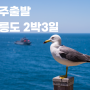 [여행추천] 진주여행사 서경투어 5월 국내여행 청주청남대, 곡성장미축제, 신안퍼플섬, 설악산, 진주에서 포항 울릉도 등등