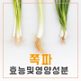 쪽파 효능,영양성분 (고르는법 ,보관법)