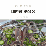 부산 기장 멸치회 대변항 맛집 추천 3