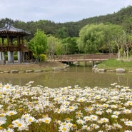 부산 해운대수목원 무료 관람 카트 이용 방법 및 이용 후기