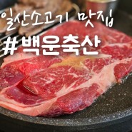 일산 소고기, 가성비 라페스타 고깃집 재방문 '백운축산 정육식당'