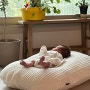 [3주차 아기육아] 캠프밸리 | 정신없던 5일 | 초보엄마아빠 ㅎ | 아기통잠 기다리기