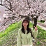 4월 기록 📝 | 꽃이 가득한 일상, 제주 벚꽃명소, 부산 겹벚꽃 명소 그리고 맛집까지