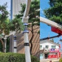 상현마을 현대성우 1차 ㅣ 아파트 경관조명 신규교체