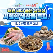 💦태안 바다 품은 삼대장 “시원한 해산물“ 특집 라방