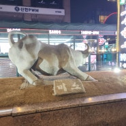 압구정역맛집 집나간 며느리도 돌아와요 대관령토종한우 압구정점