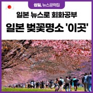162 일본뉴스, 일본벚꽃명소인 '이곳' 벚꽃 만개 (공략집)
