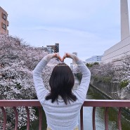 [일본여행!]4월초 사쿠라 가득 보고 온 도쿄여행~!!