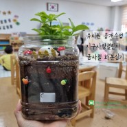 6세 유치원 공개수업 - 지구사랑챌린지 금사철 화분심기