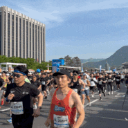 ::달리기:: 2024 서울 하프마라톤 10k | 대회 코스 고저도 |