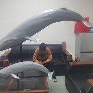 [모집] SUMERU스튜디오 해양 시리즈 대왕고래 미도색킷 또는 도색완성품