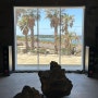 [제주 동쪽] 하도해수욕장 근처 해맞이해안로 오션뷰 카페, 꼬스뗀뇨 (+야외공간, 루프탑)