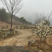 전북 정읍 관광농원개발 소규모환경영향평가 협의 완료