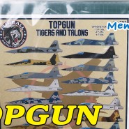 TOPGUN 탑건 Tigers and Talons 1/72 Furball Aero-Design Decal (퍼벌에어로디자인 F-5 T-38 데칼 72005)