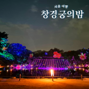 창경궁 야간개장 물빛연화 궁중문화축전 기본정보 서울 야경 명소 밤에 갈만한곳